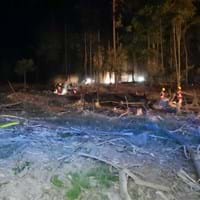 Waldbrand 1
