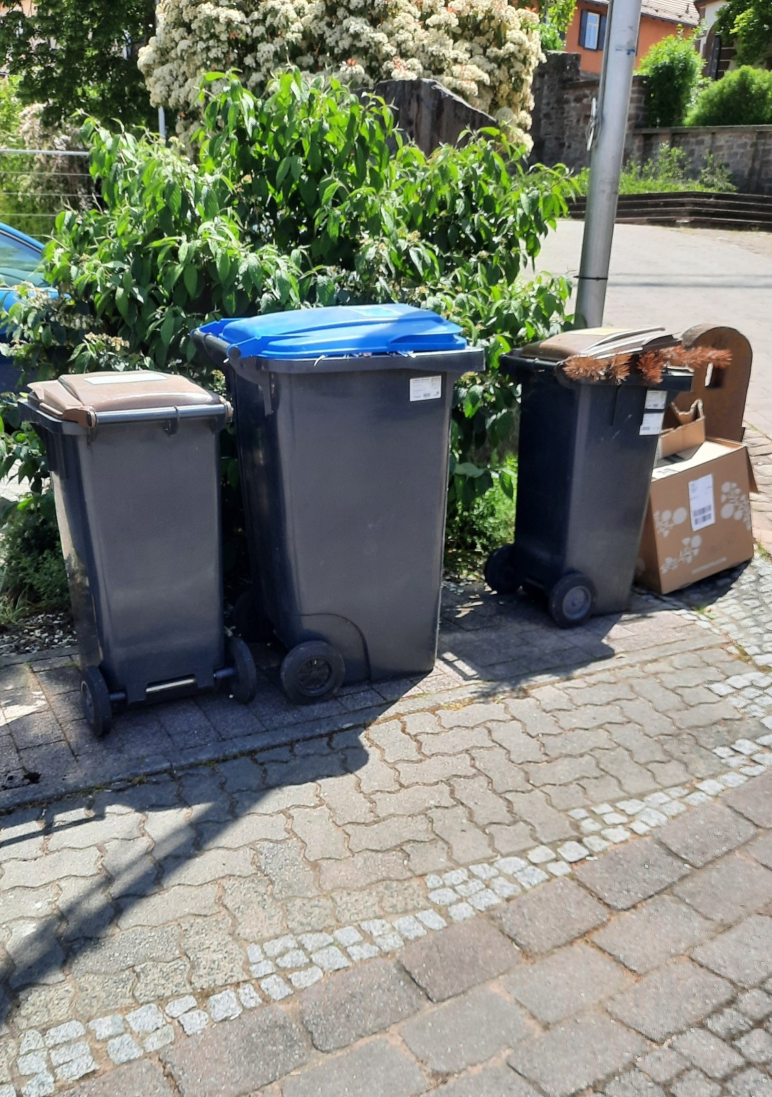 Mülltonnen Markt Eschau