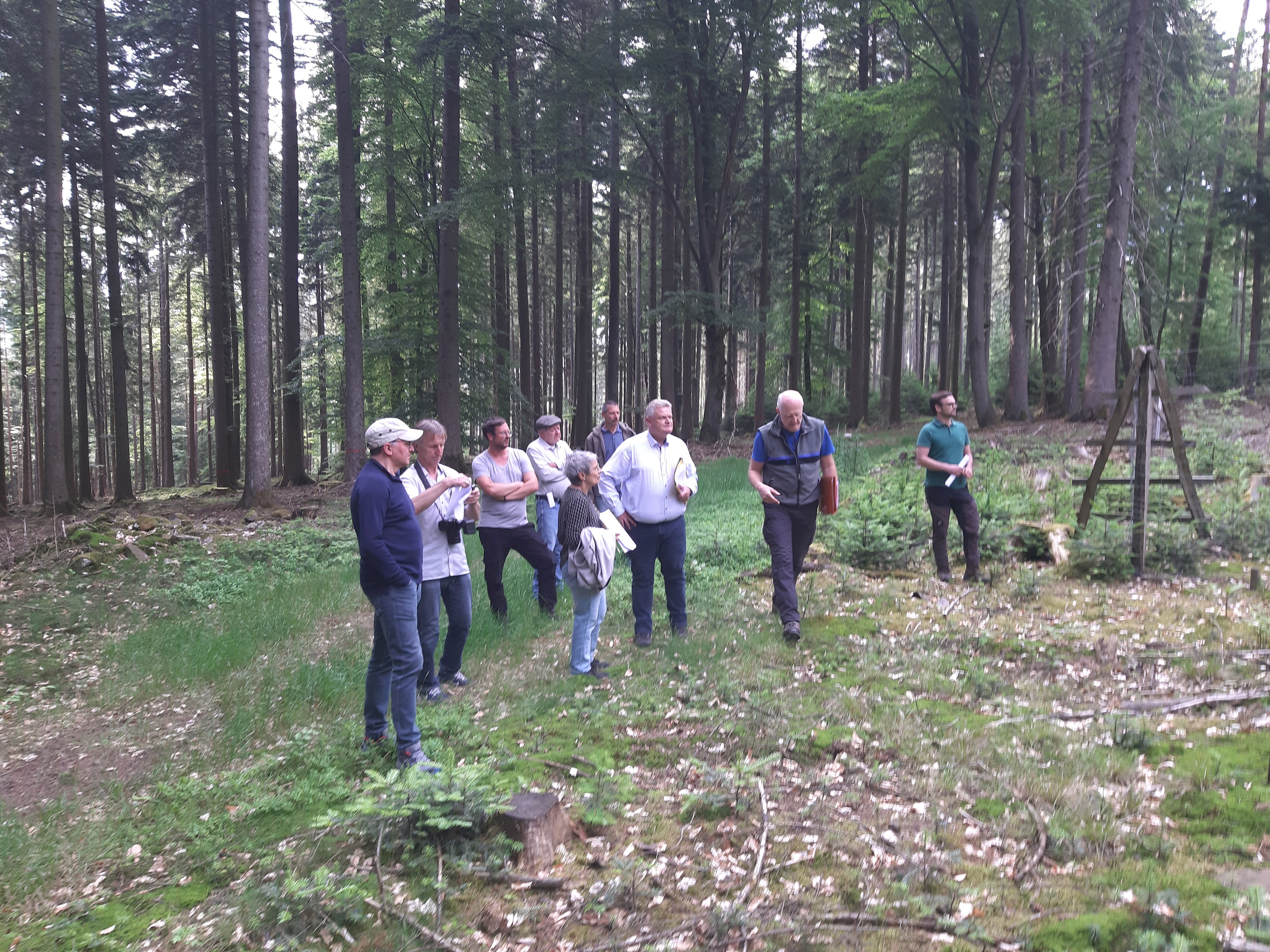 Waldbegehung Marktgemeinderat