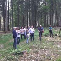 Waldbegehung Marktgemeinderat