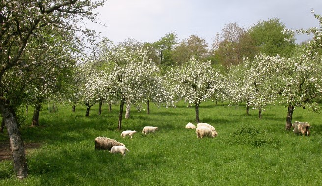 Screenshot 2024-12-09 151617.jpg