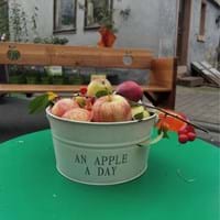 IMG_4016.jpeg