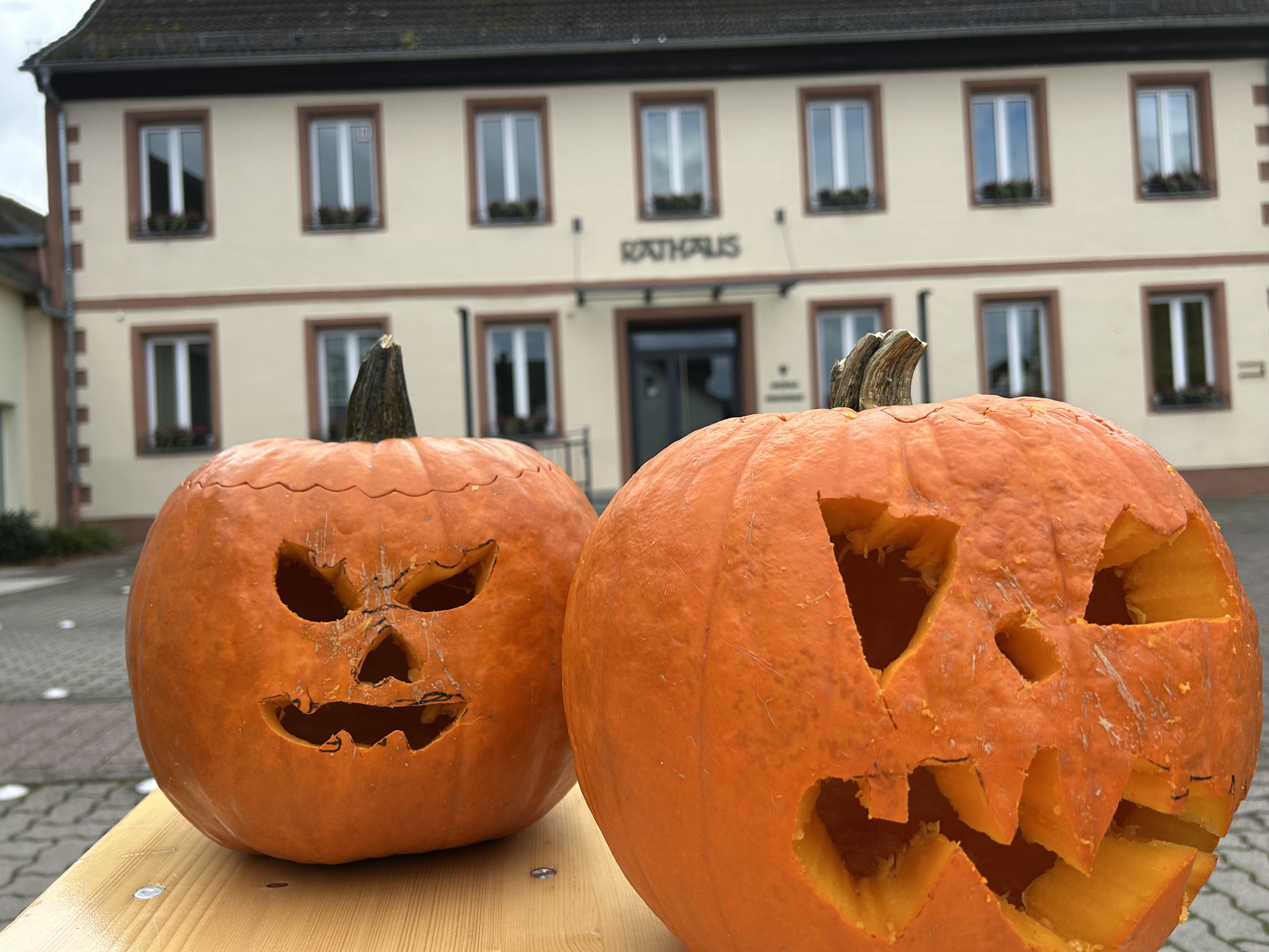 Kürbisschnitzen 2025.jpg